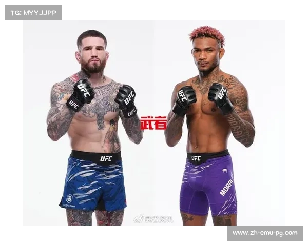 莫拉莱斯不败金身延续,UFC新星冉冉升起 莫拉莱斯不败金身延续,UFC新星冉冉升起